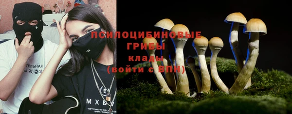 мяу мяу мука Ладушкин